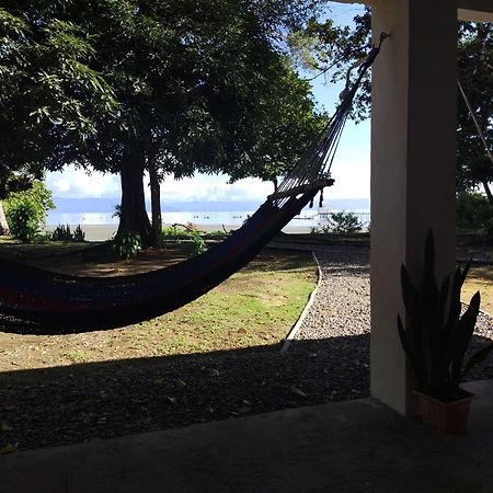 Happy Monkeys Villa Puerto Jimenez Luaran gambar