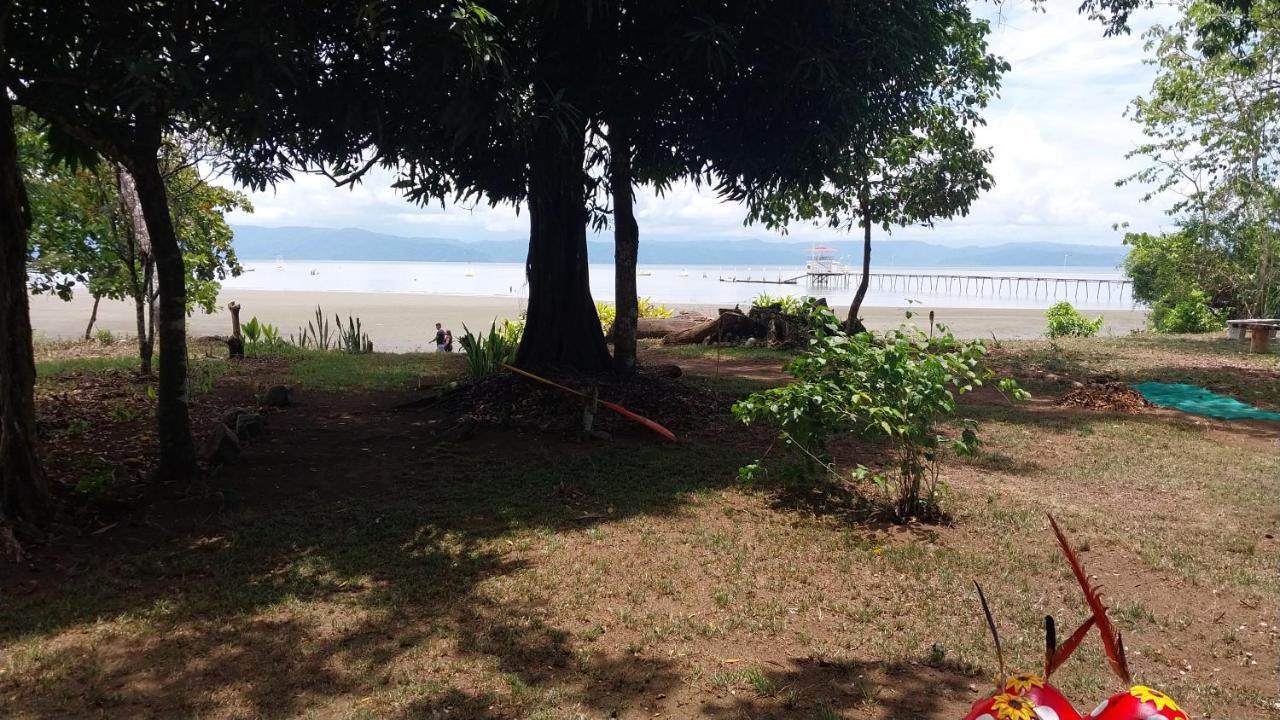 Happy Monkeys Villa Puerto Jimenez Luaran gambar