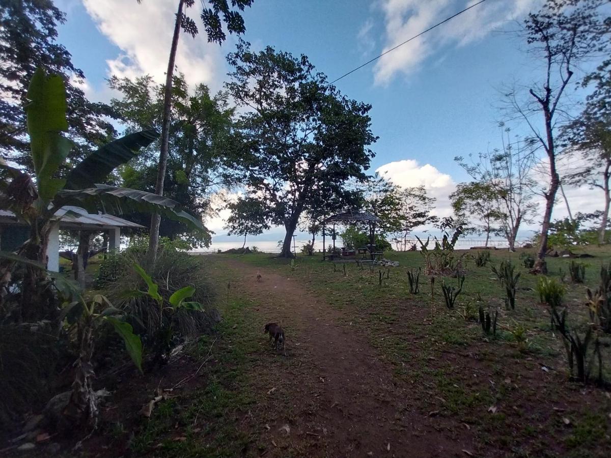 Happy Monkeys Villa Puerto Jimenez Luaran gambar