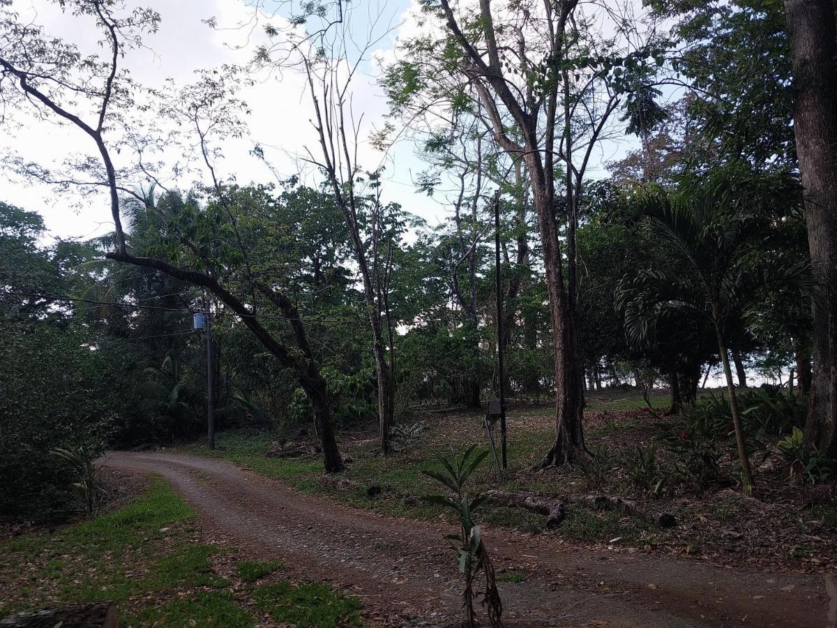 Happy Monkeys Villa Puerto Jimenez Luaran gambar