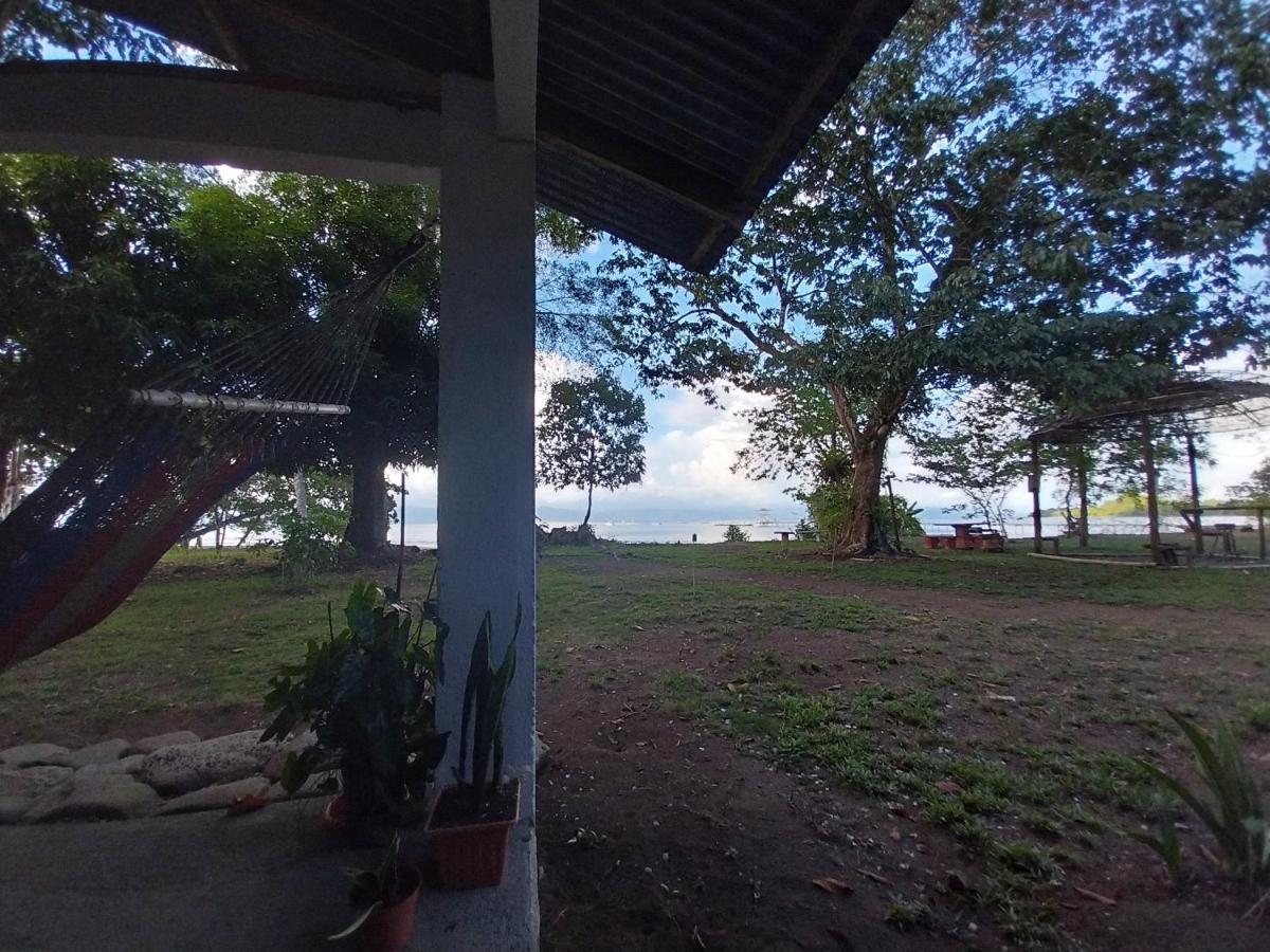 Happy Monkeys Villa Puerto Jimenez Luaran gambar
