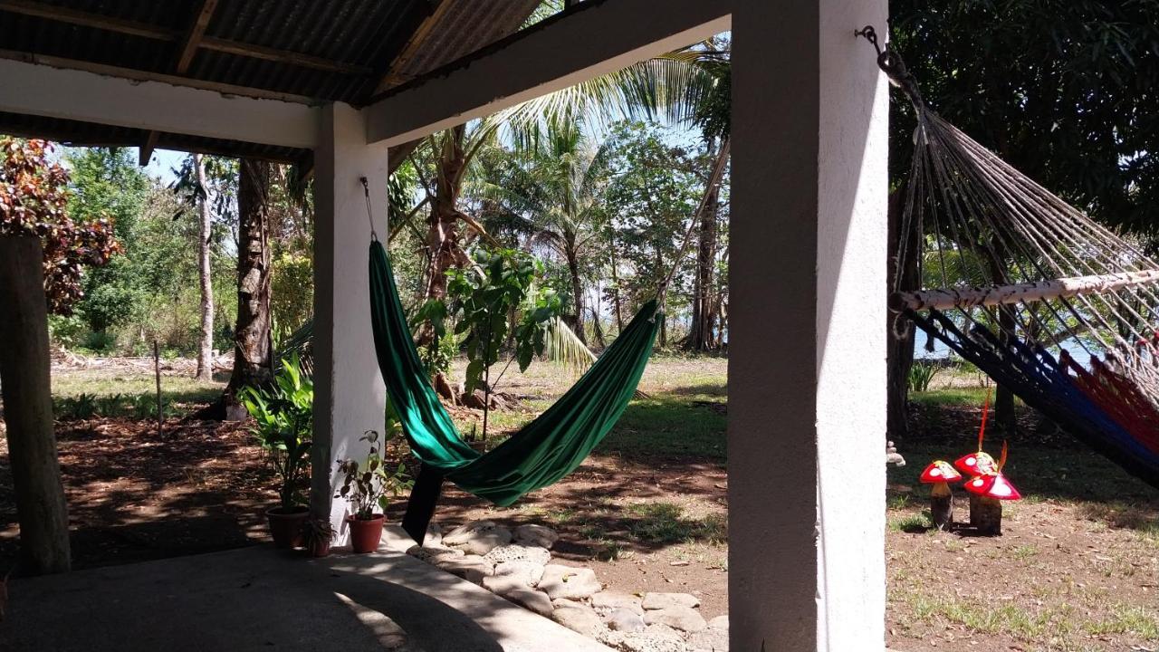 Happy Monkeys Villa Puerto Jimenez Luaran gambar