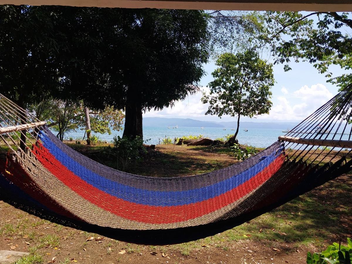 Happy Monkeys Villa Puerto Jimenez Luaran gambar