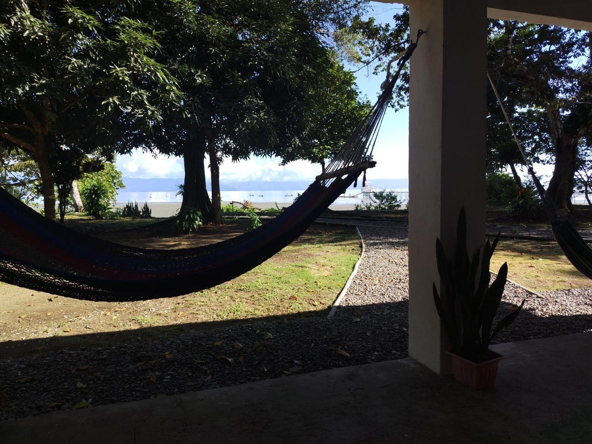Happy Monkeys Villa Puerto Jimenez Luaran gambar