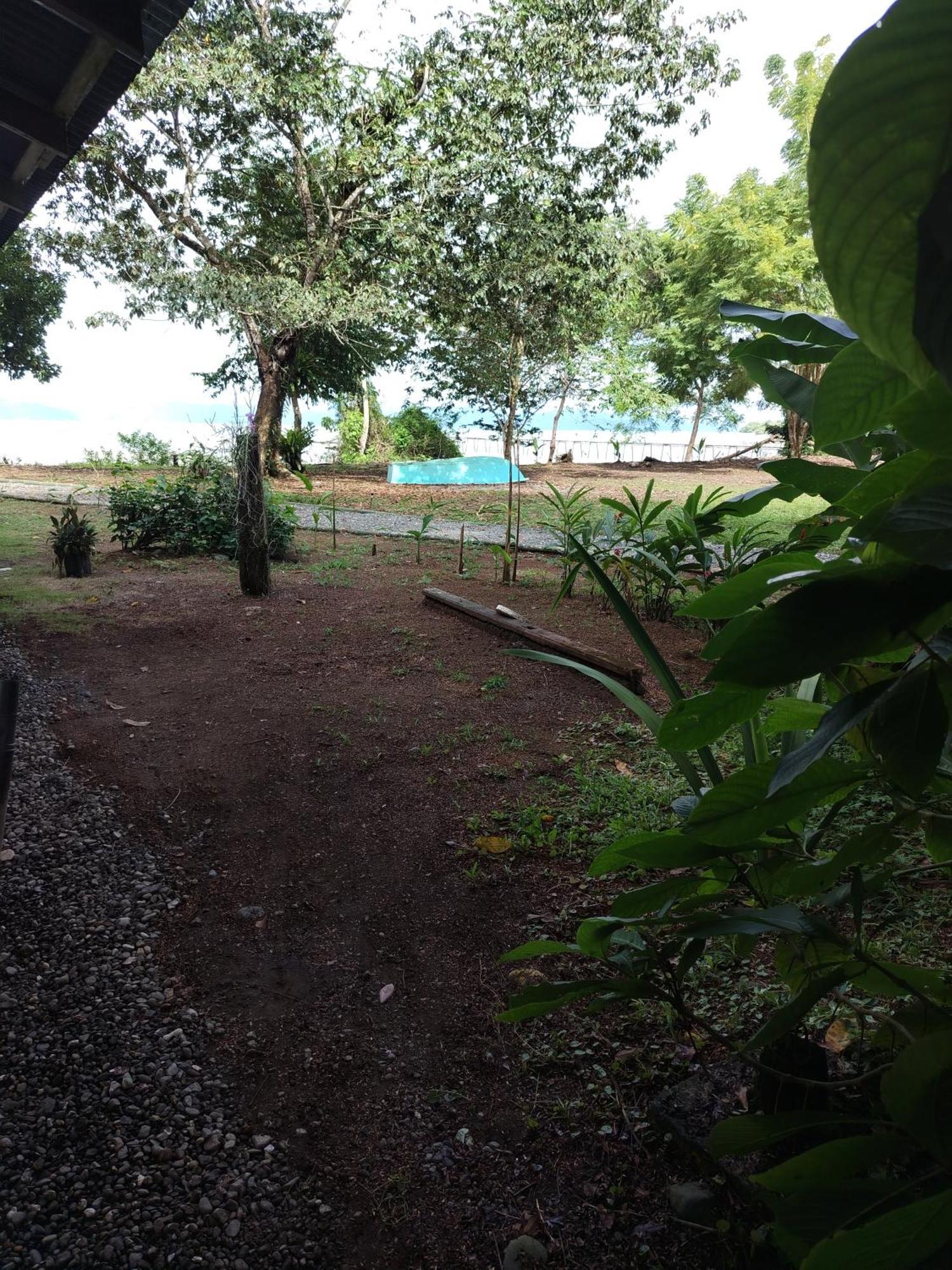 Happy Monkeys Villa Puerto Jimenez Luaran gambar