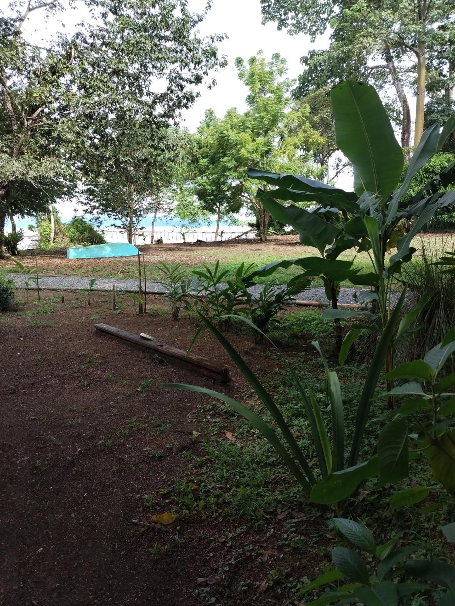 Happy Monkeys Villa Puerto Jimenez Luaran gambar