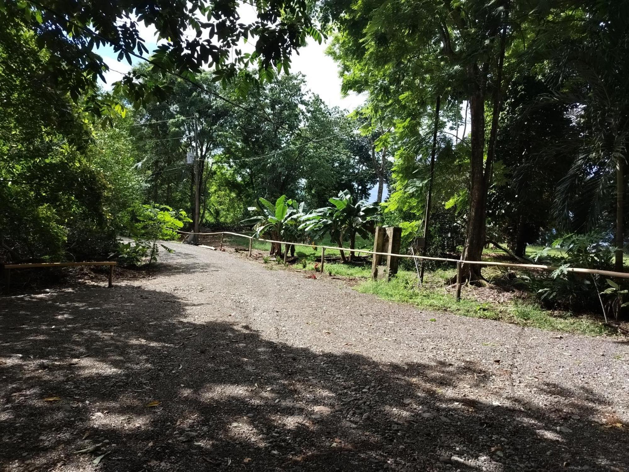 Happy Monkeys Villa Puerto Jimenez Luaran gambar
